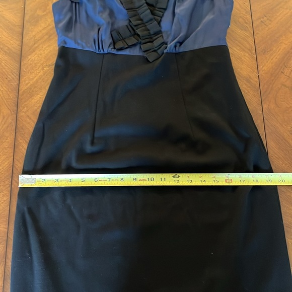 Taylor Dress with Silk Pleat Detail Size 6 - Picture 10 of 12